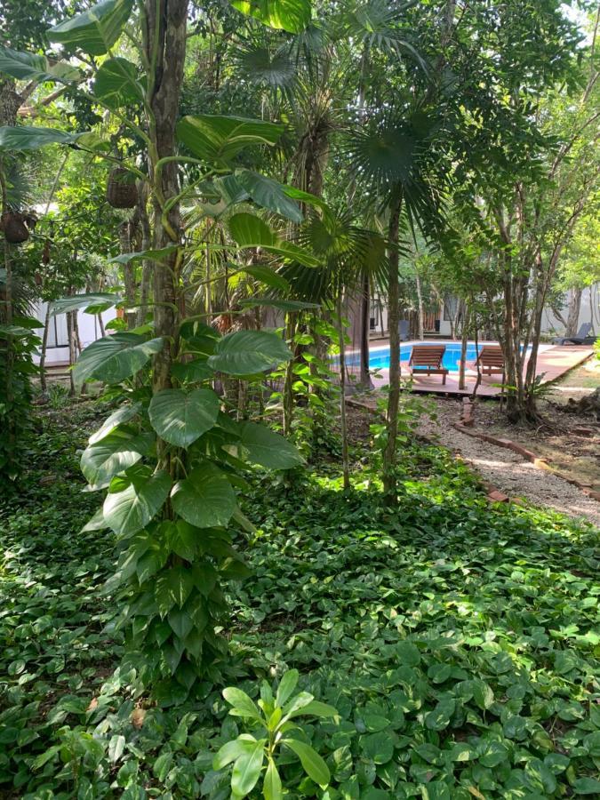 Ecovergel Hotel Riviera Maya Chemuyil Eksteriør billede